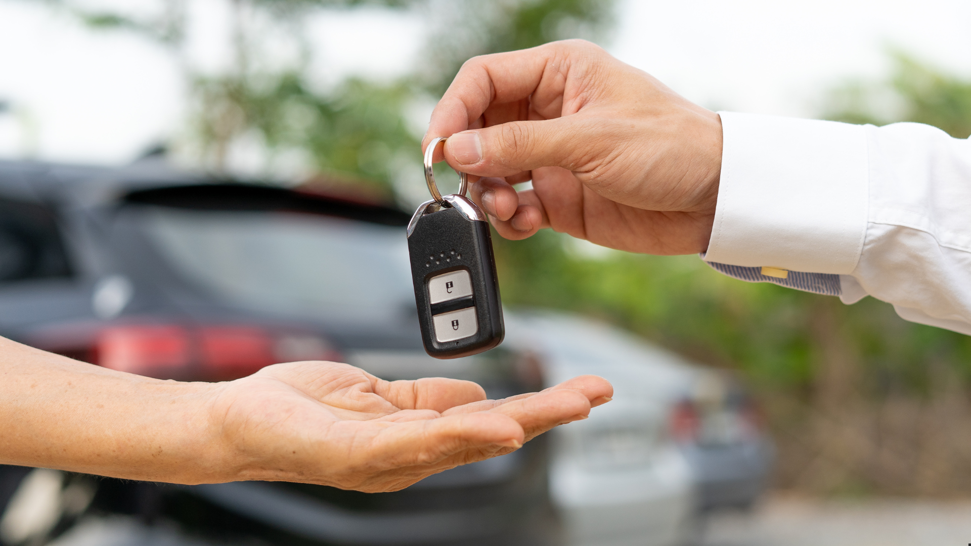 Untitled design Untitled design